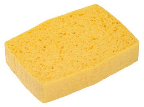 Sponsen