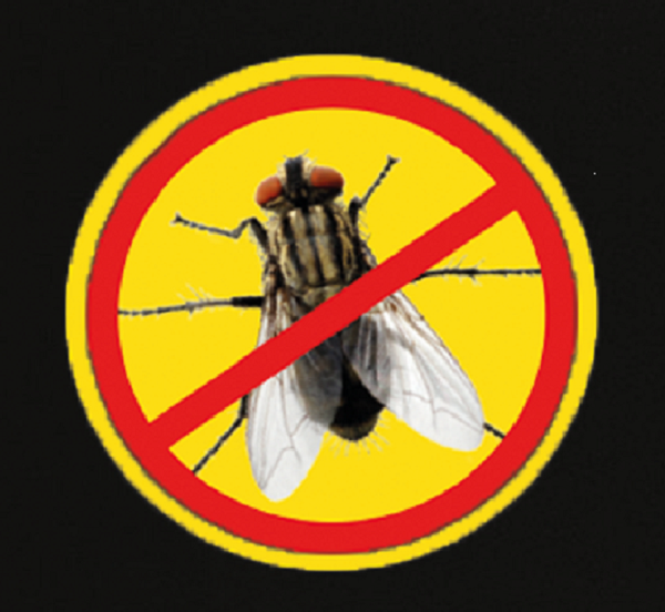 Insecticides